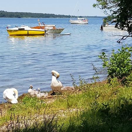 Ferienwohnung Am Schweriner See Raben Steinfeld Ngoại thất bức ảnh