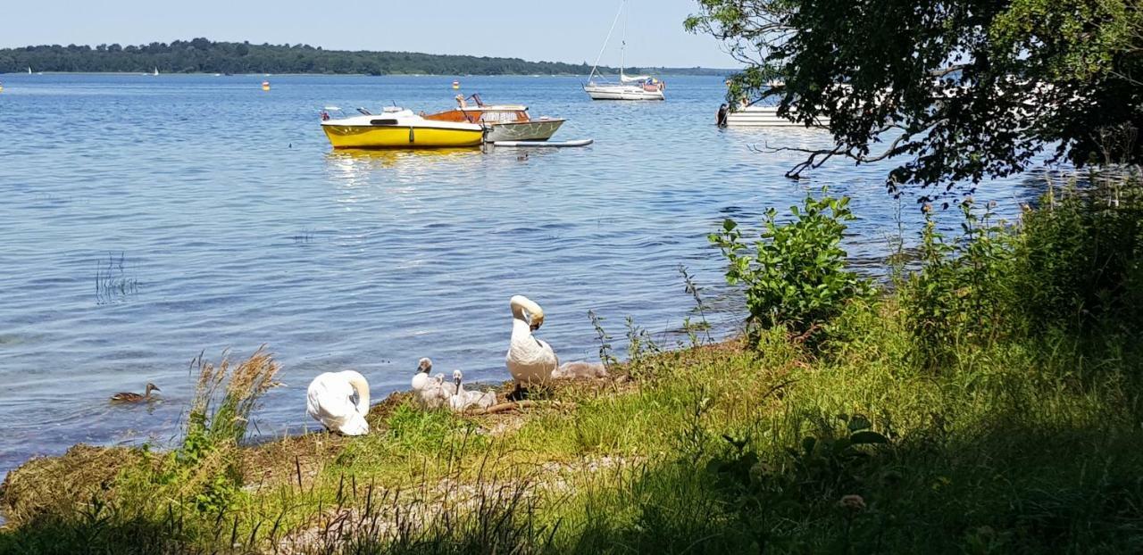 Ferienwohnung Am Schweriner See Raben Steinfeld Ngoại thất bức ảnh